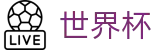 2026世界杯足球竞猜官方入口 - 官方赛事中心
